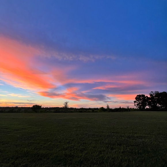 πΌπππ ππππ πΏπππππ, π°πππ’ππ - Picture 6 of 6